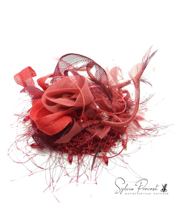 Grande fleur rouge avec plumes